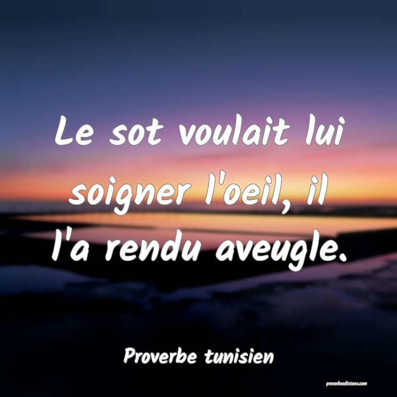 Le sot voulait lui soigner l'oeil, il l'a rendu aveugle.