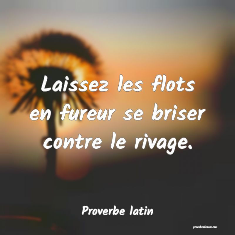 Laissez les flots en fureur se briser contre le rivage.