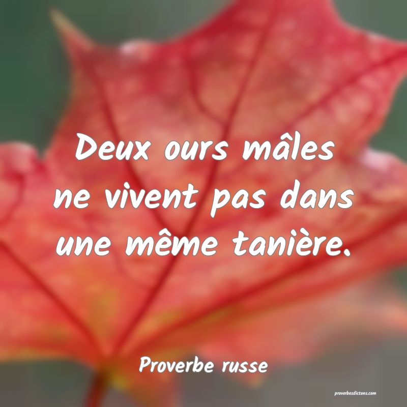 Deux ours mâles ne vivent pas dans une même tanière.