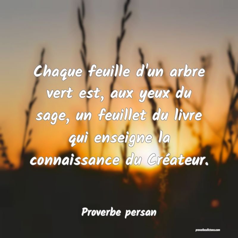 Chaque feuille d'un arbre vert est, aux yeux du sage, un feuillet du livre qui enseigne la connaissance du Créateur.