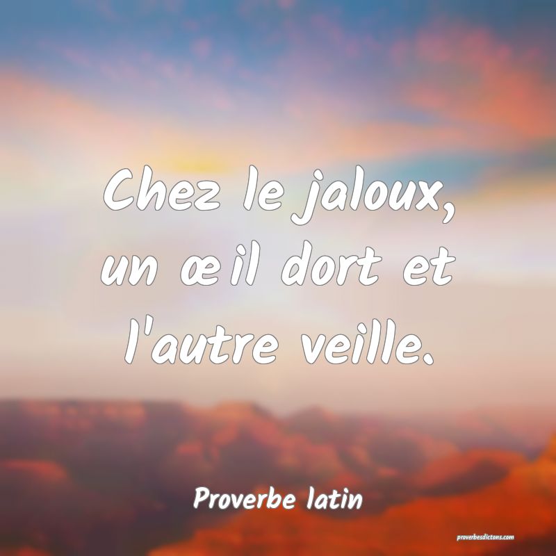 Chez le jaloux, un œil dort et l'autre veille.