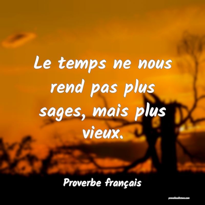Le temps ne nous rend pas plus sages, mais plus vieux.