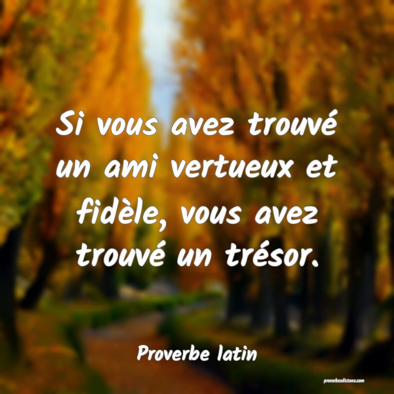 Si vous avez trouvé un ami vertueux et fidèle, vous avez trouvé un trésor.