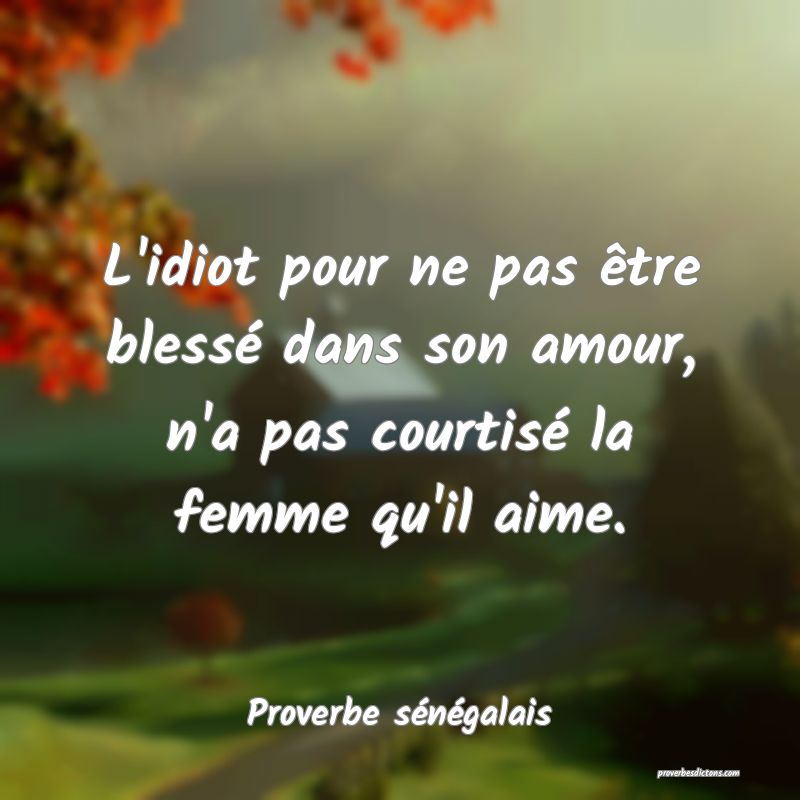 L'idiot pour ne pas être blessé dans son amour, n'a pas courtisé la femme qu'il aime.