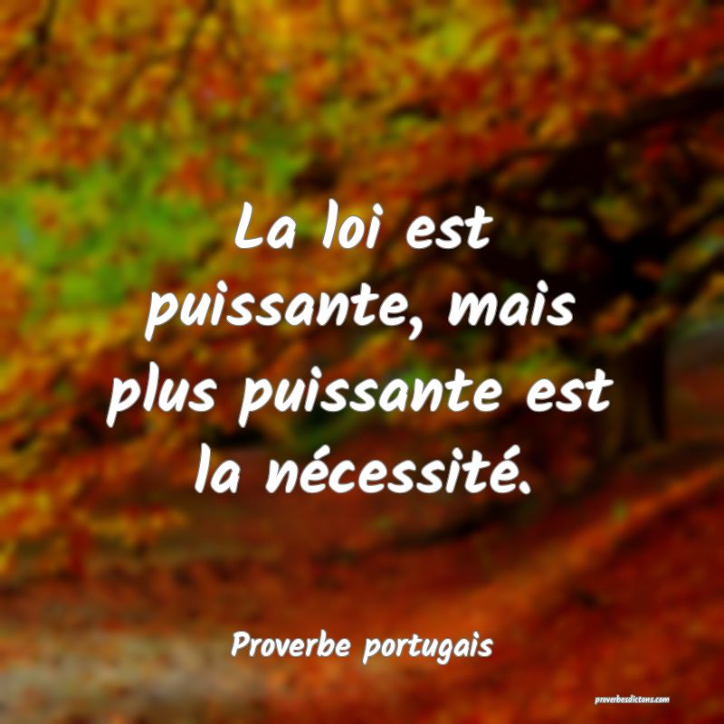 La loi est puissante, mais plus puissante est la nécessité.