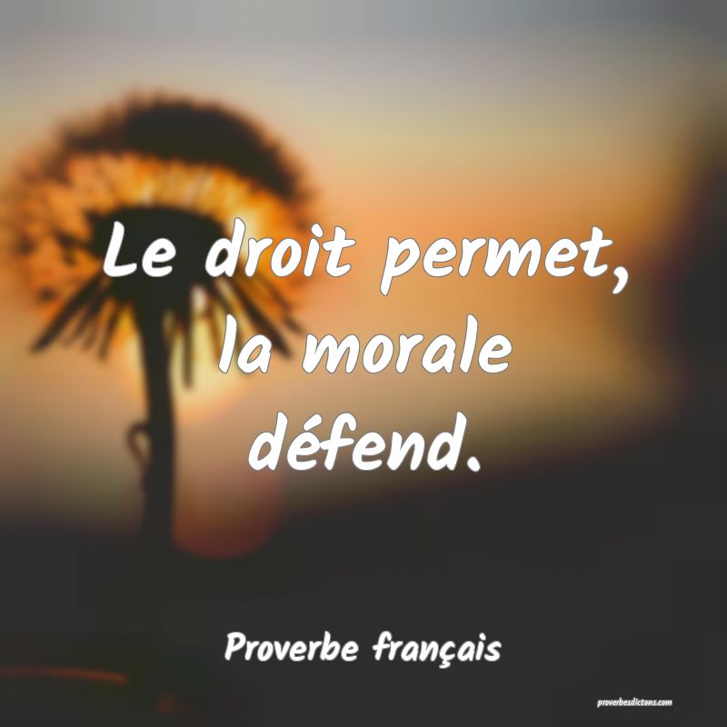 Le droit permet, la morale défend.
