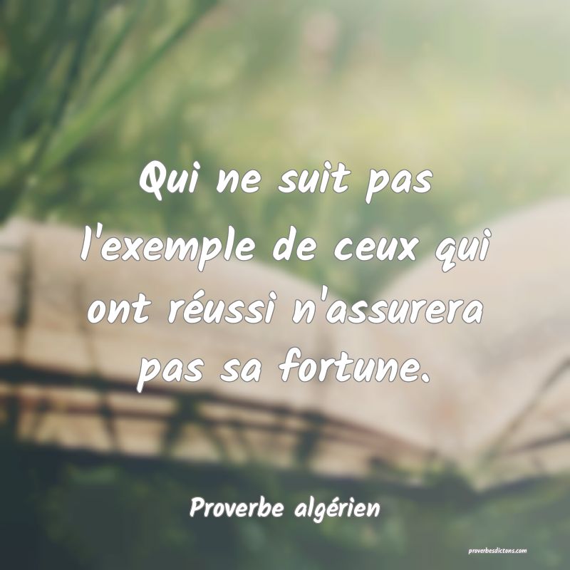 Qui ne suit pas l'exemple de ceux qui ont réussi n'assurera pas sa fortune.