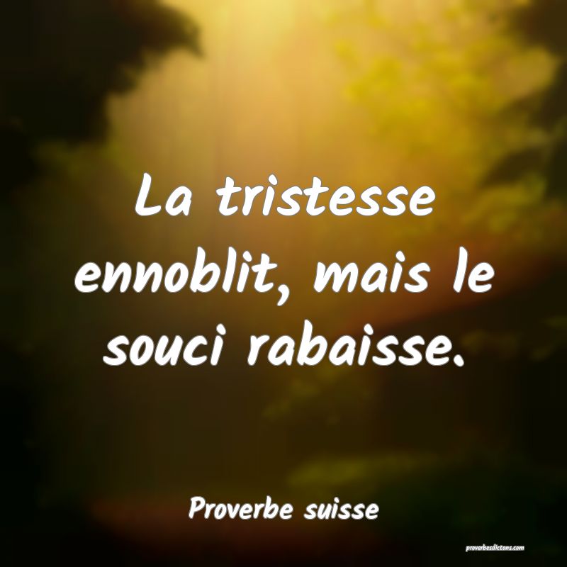 La tristesse ennoblit, mais le souci rabaisse.