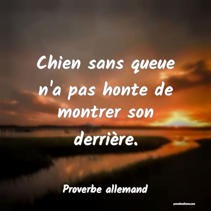 Chien sans queue n'a pas honte de montrer son derrière.