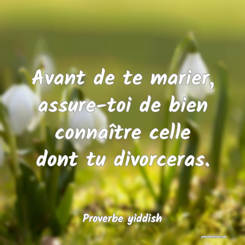 Avant de te marier, assure-toi de bien connaître celle dont tu divorceras.