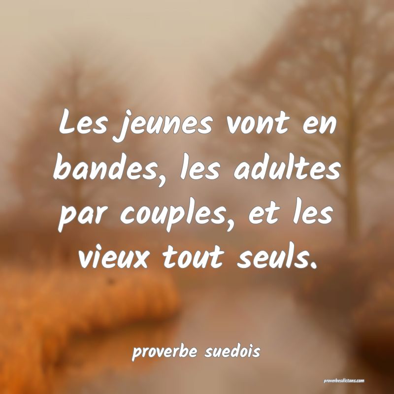  Les jeunes vont en bandes, les adultes par couples, et les vieux tout seuls.