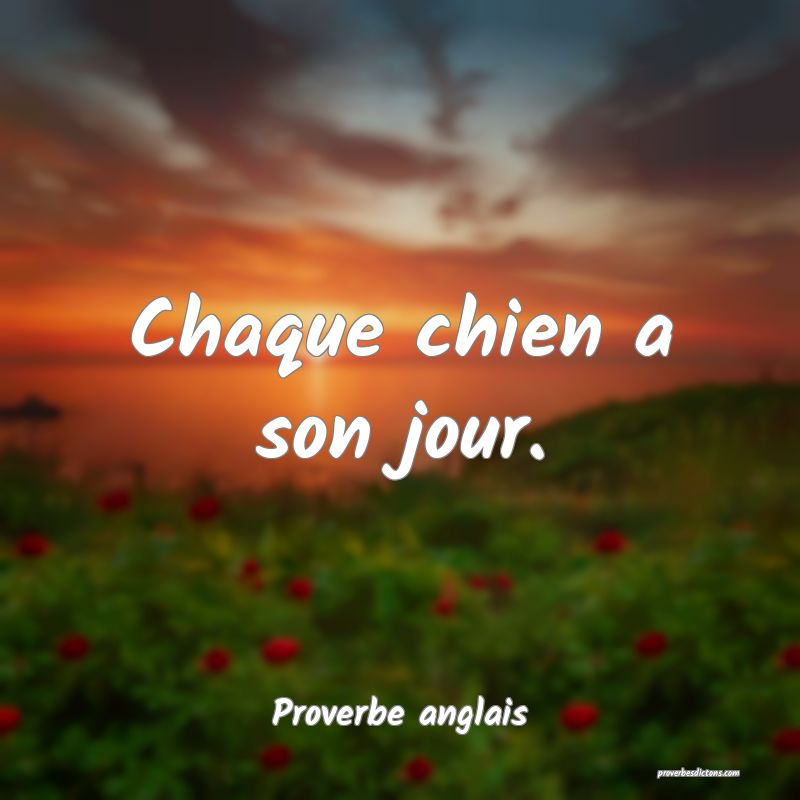 Chaque chien a son jour.