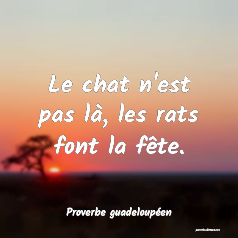 Le chat n'est pas là, les rats font la fête.