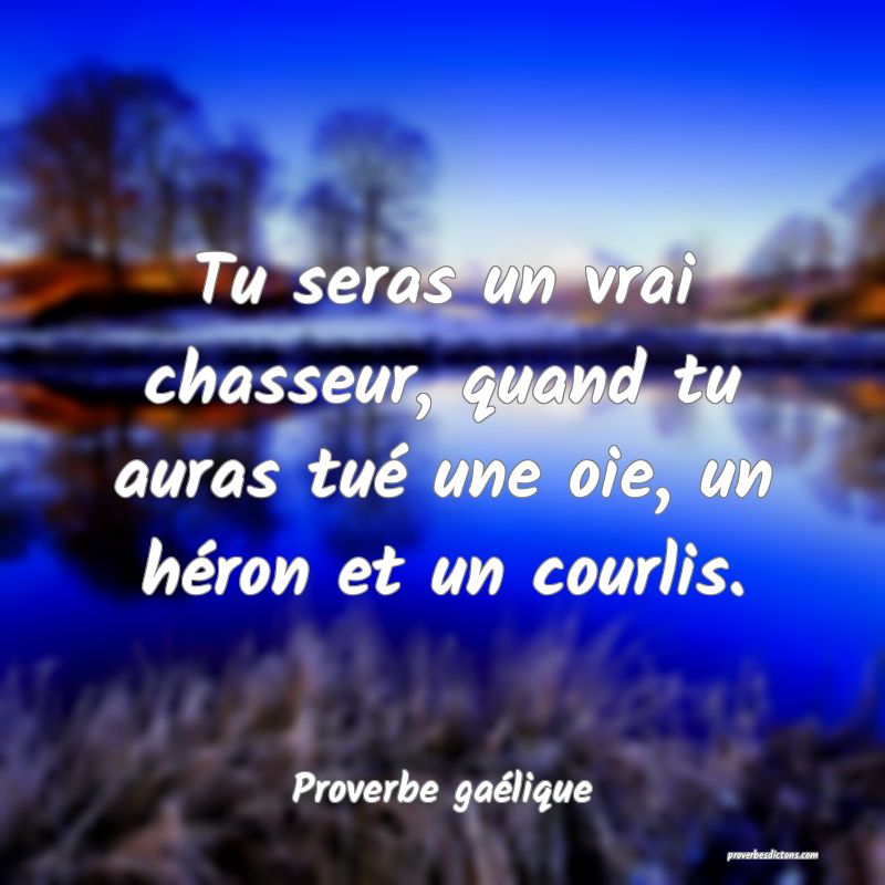 Tu seras un vrai chasseur, quand tu auras tué une oie, un héron et un courlis.