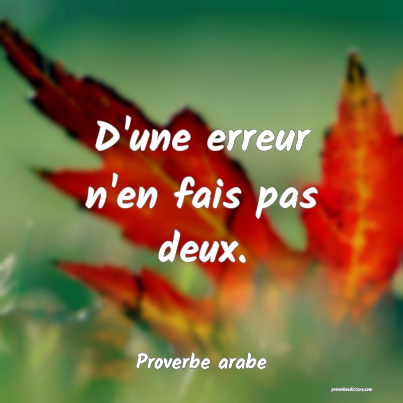 D'une erreur n'en fais pas deux.