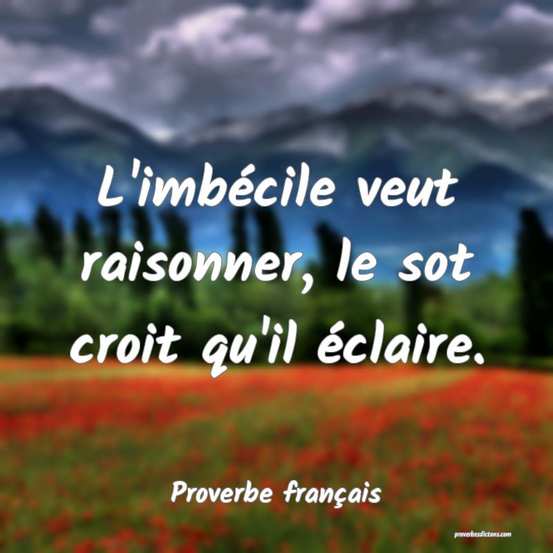 L'imbécile veut raisonner, le sot croit qu'il éclaire.
