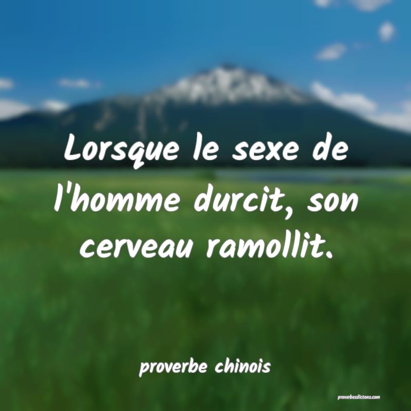  Lorsque le sexe de l'homme durcit, son cerveau ramollit.
