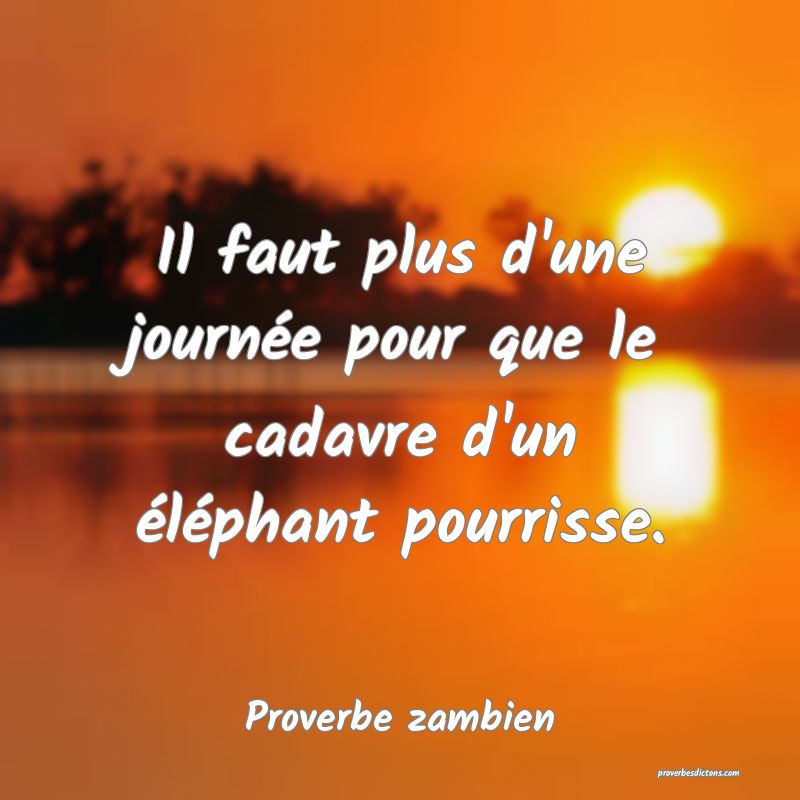 Il faut plus d'une journée pour que le cadavre d'un éléphant pourrisse.