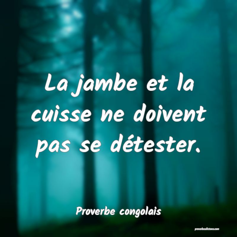 La jambe et la cuisse ne doivent pas se détester.