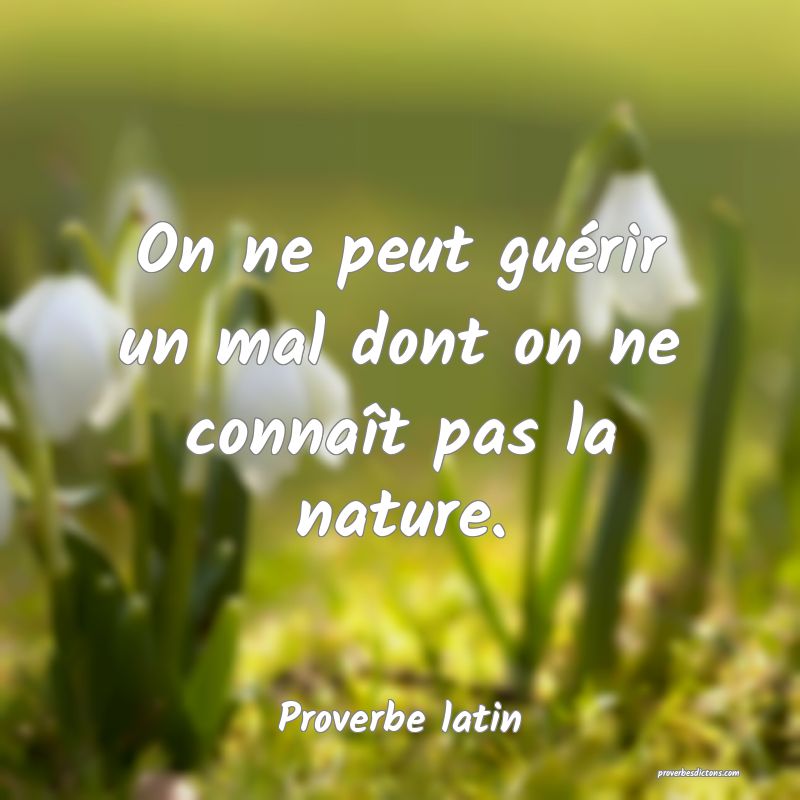 On ne peut guérir un mal dont on ne connaît pas la nature.