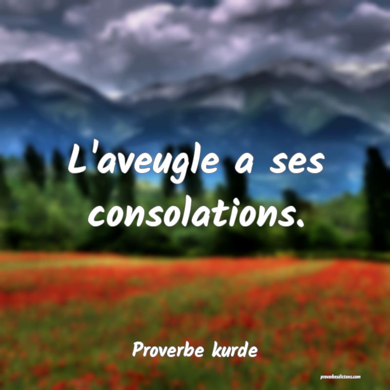 L'aveugle a ses consolations.