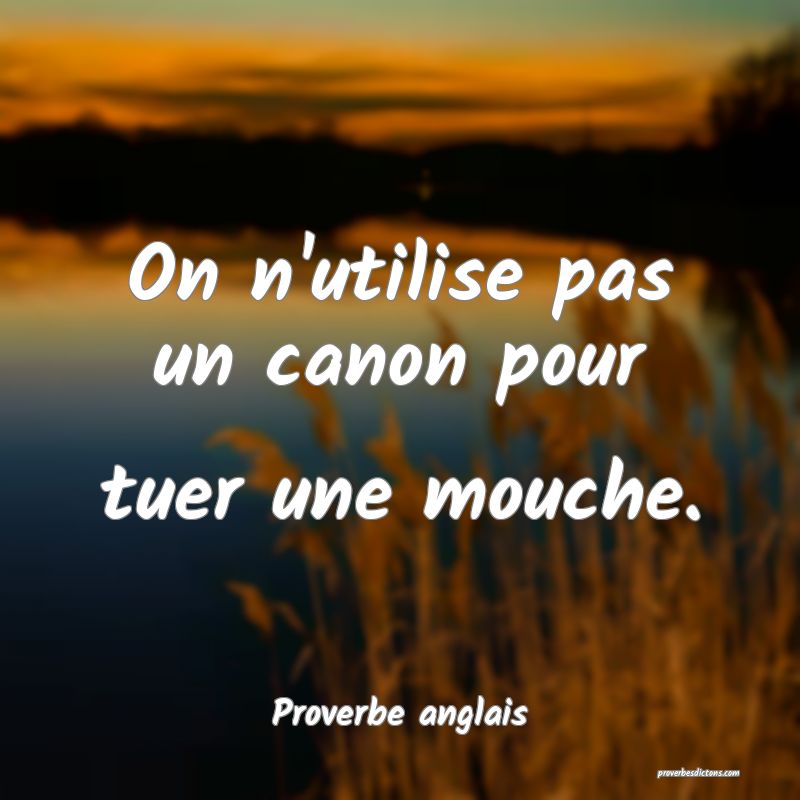 On n'utilise pas un canon pour tuer une mouche.