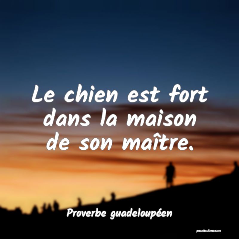 Le chien est fort dans la maison de son maître.