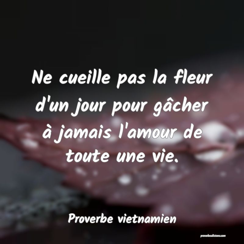 Ne cueille pas la fleur d'un jour pour gâcher à jamais l'amour de toute une vie.