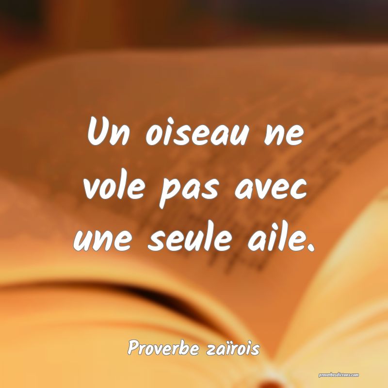 Un oiseau ne vole pas avec une seule aile.