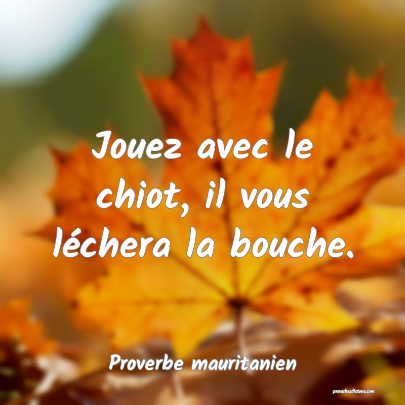 Jouez avec le chiot, il vous léchera la bouche.