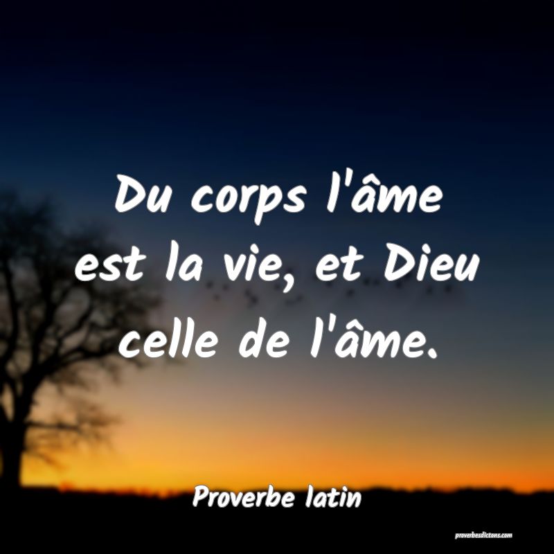 Du corps l'âme est la vie, et Dieu celle de l'âme.