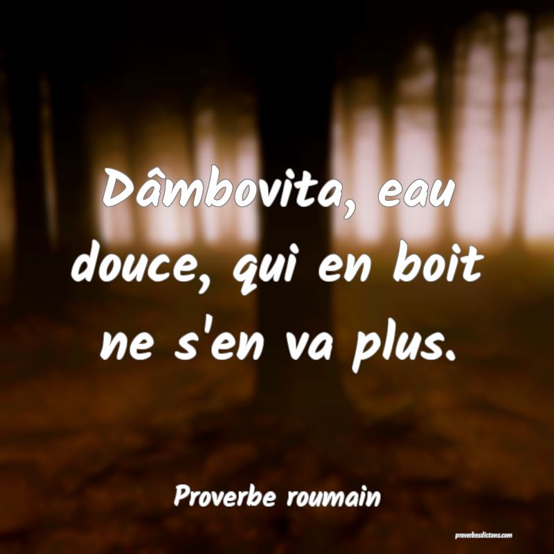 Dâmbovita, eau douce, qui en boit ne s'en va plus.