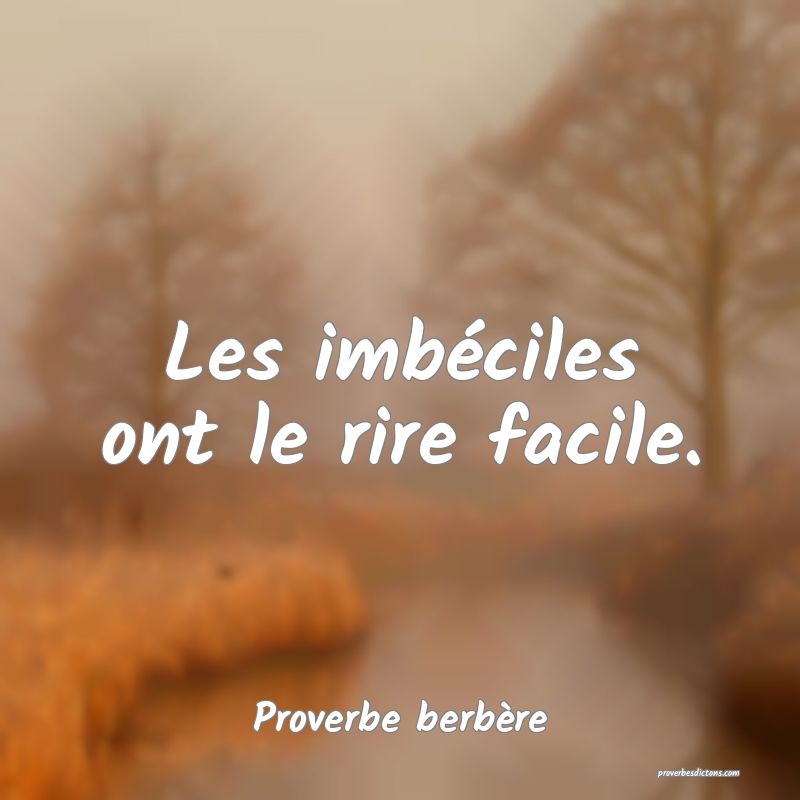 Les imbéciles ont le rire facile.