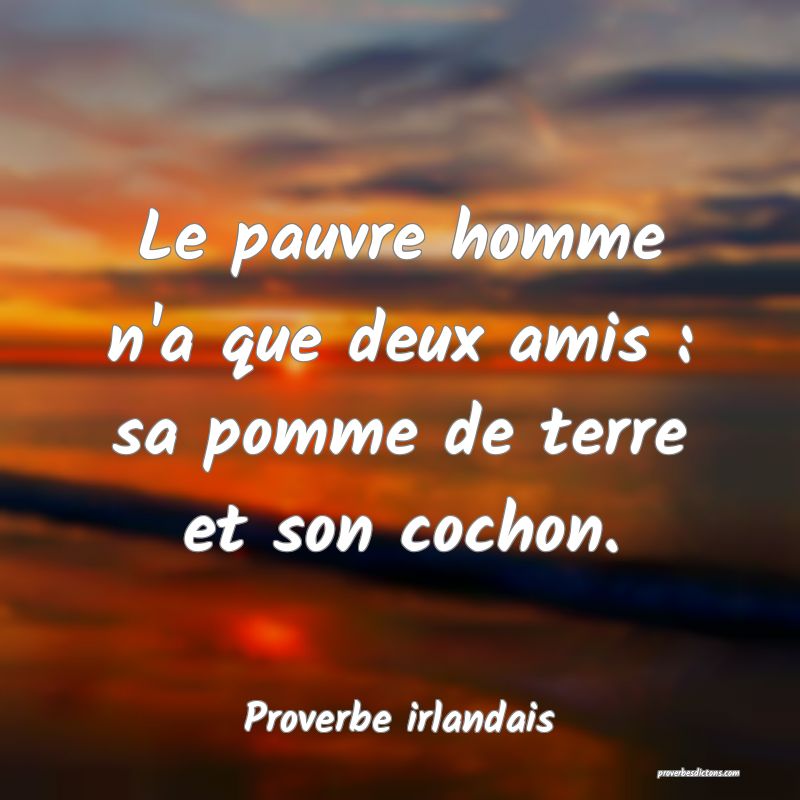 Le pauvre homme n'a que deux amis : sa pomme de terre et son cochon.