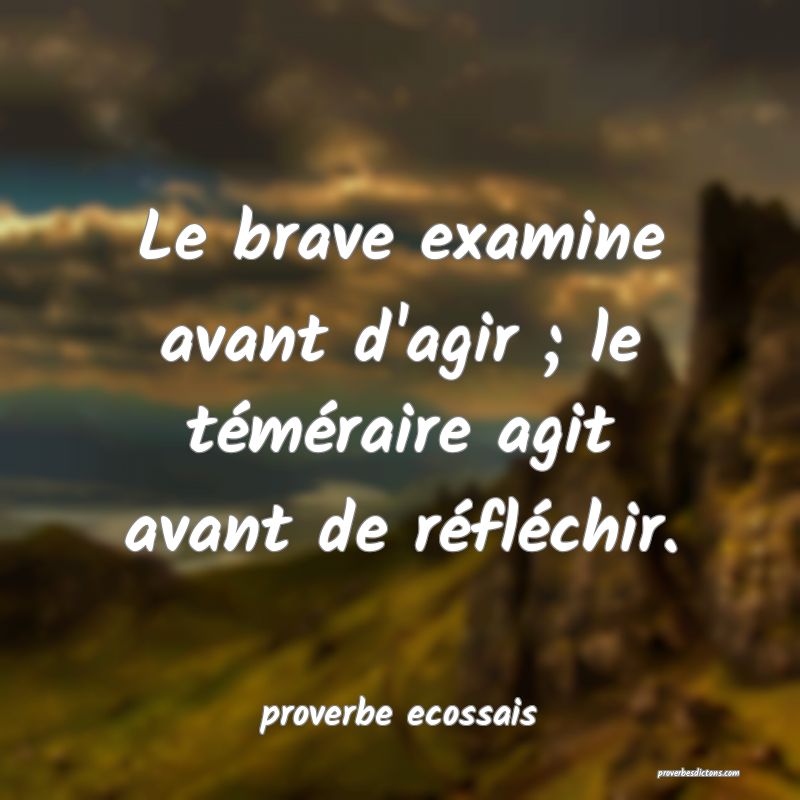 Le brave examine avant d'agir ; le téméraire agit avant de réfléchir.
