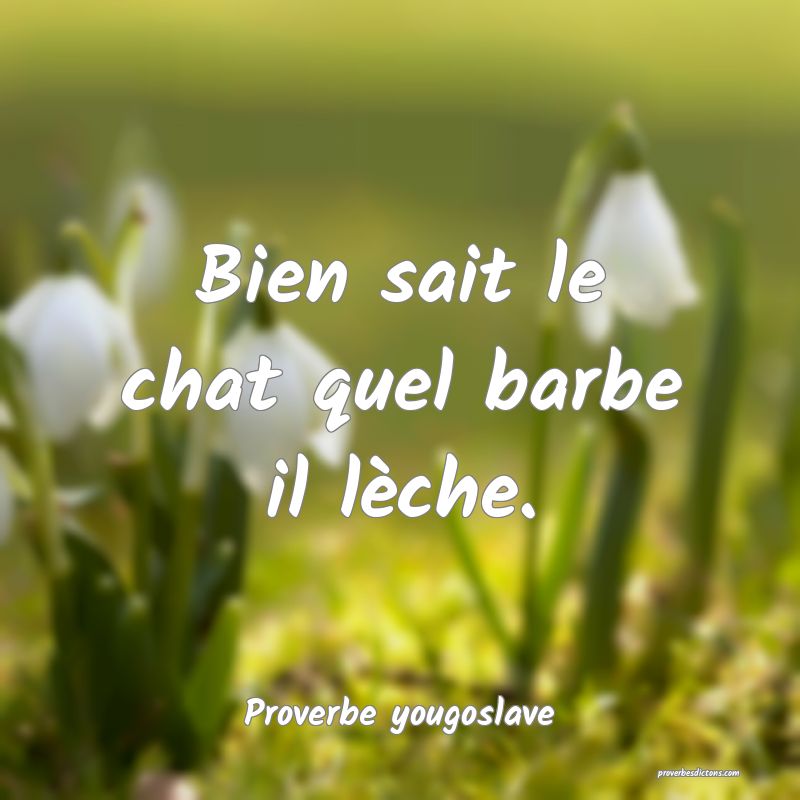 Bien sait le chat quel barbe il lèche.