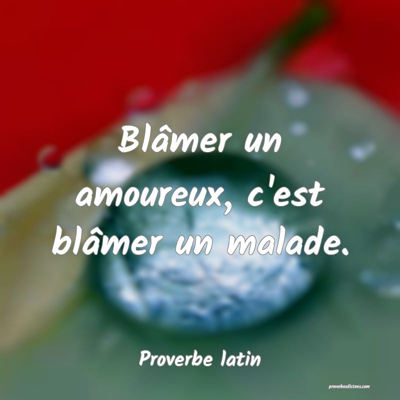 Blâmer un amoureux, c'est blâmer un malade.