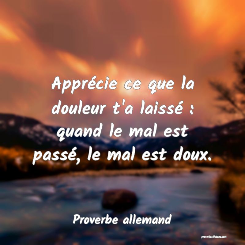 Apprécie ce que la douleur t'a laissé : quand le mal est passé, le mal est doux.