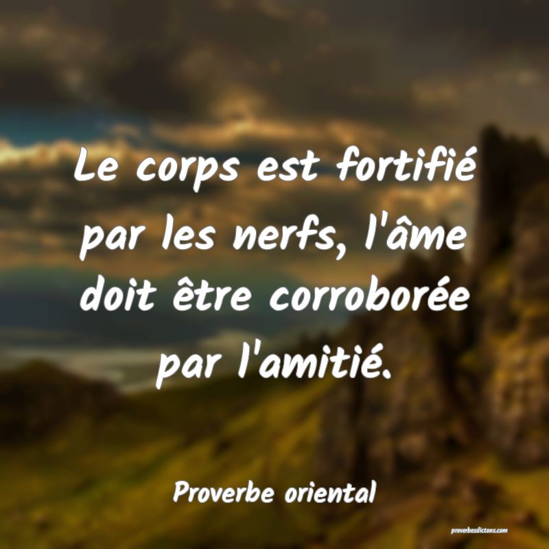 Le corps est fortifié par les nerfs, l'âme doit être corroborée par l'amitié.