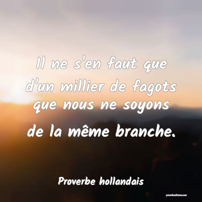 Il ne s'en faut que d'un millier de fagots que nous ne soyons de la même branche.