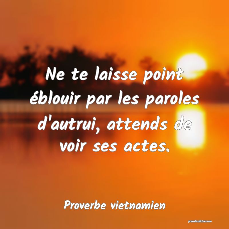 Ne te laisse point éblouir par les paroles d'autrui, attends de voir ses actes.