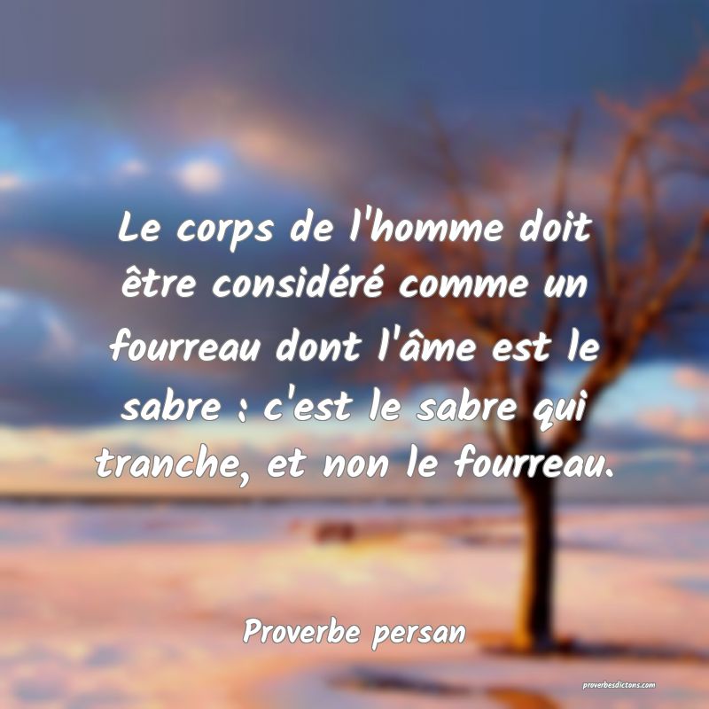 Le corps de l'homme doit être considéré comme un fourreau dont l'âme est le sabre : c'est le sabre qui tranche, et non le fourreau.