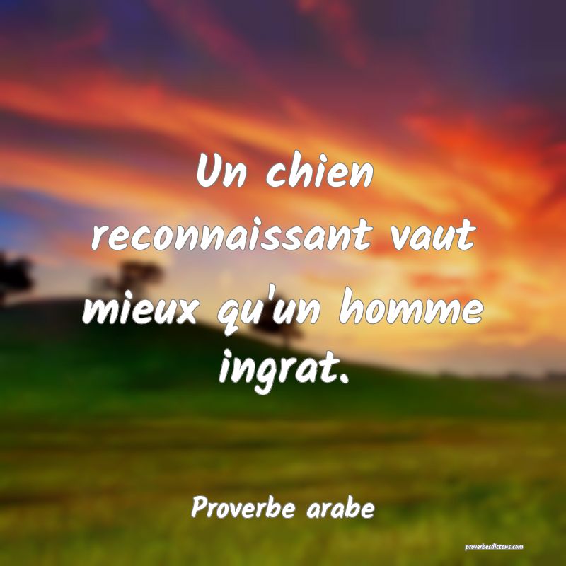 Un chien reconnaissant vaut mieux qu'un homme ingrat.