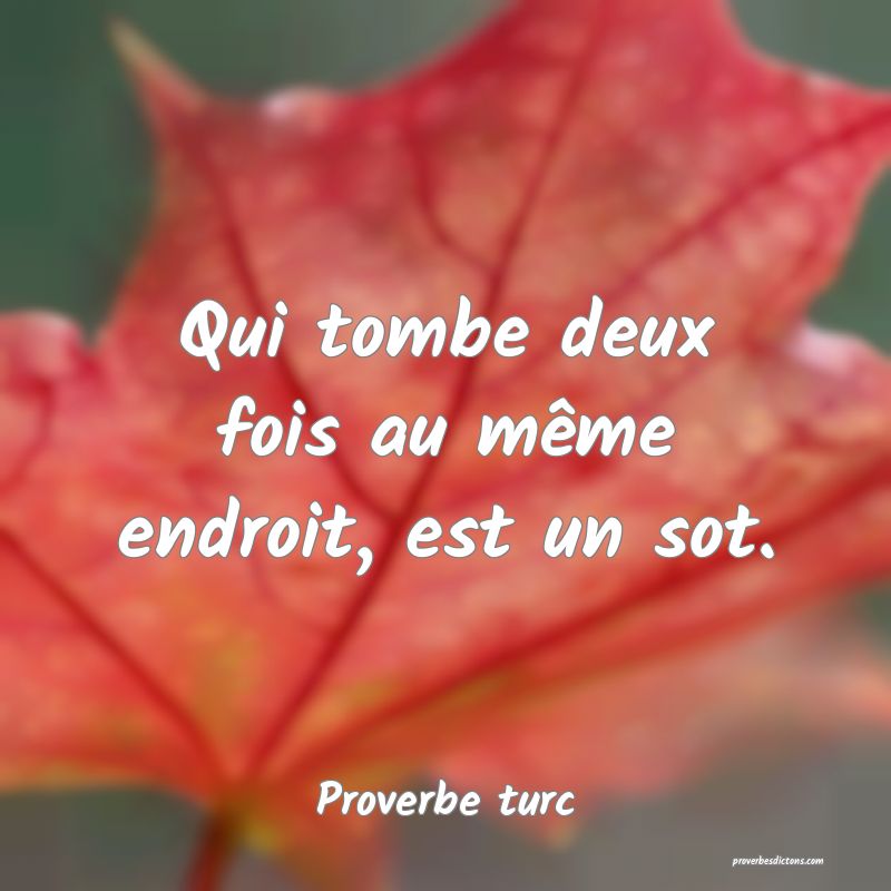 Qui tombe deux fois au même endroit, est un sot.