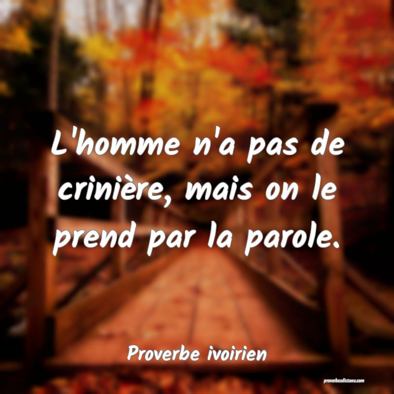 L'homme n'a pas de crinière, mais on le prend par la parole.