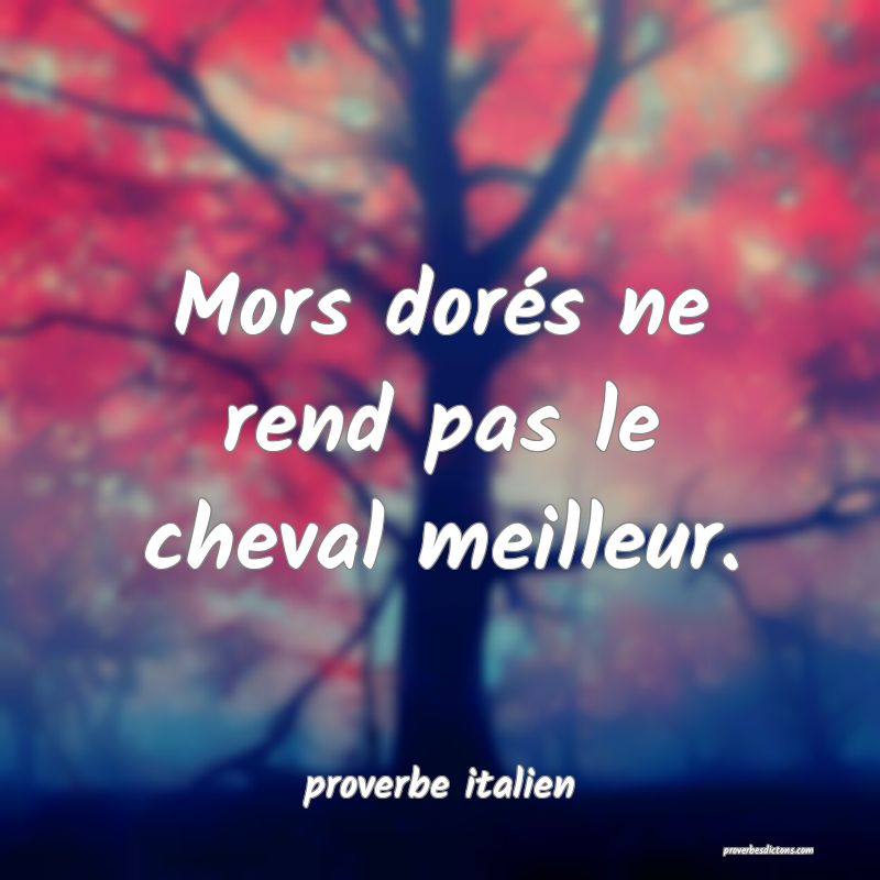  Mors dorés ne rend pas le cheval meilleur.