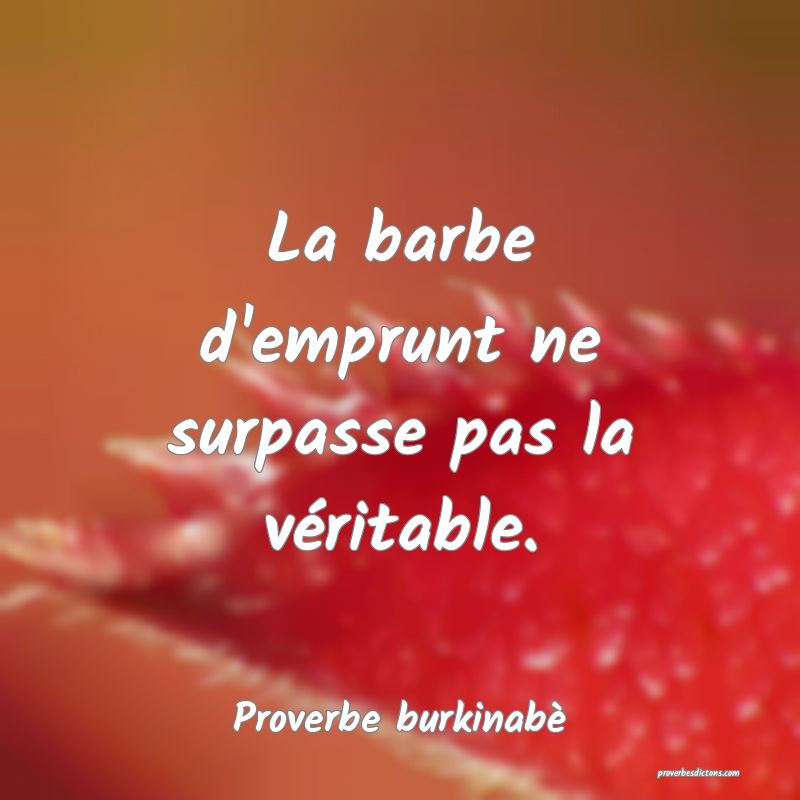 La barbe d'emprunt ne surpasse pas la véritable.