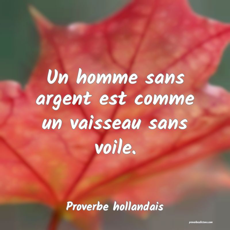 Un homme sans argent est comme un vaisseau sans voile.
