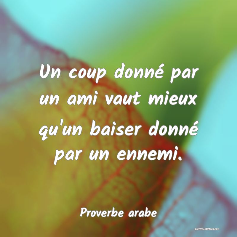 Un coup donné par un ami vaut mieux qu'un baiser donné par un ennemi.