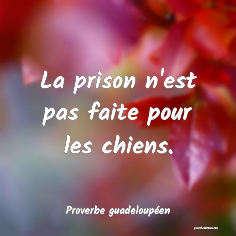 La prison n'est pas faite pour les chiens.
